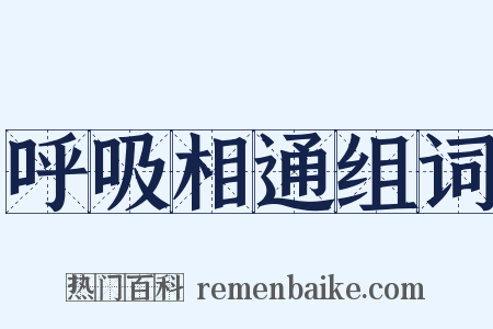 呼吸相通组词是什么意思的图片